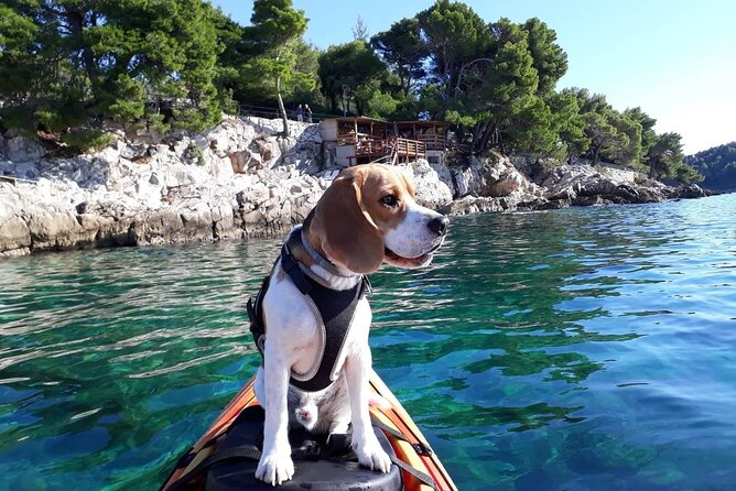 'Pomalo' Guided Sea Kayaking Tour in Cavtat - Key things I’d plan around