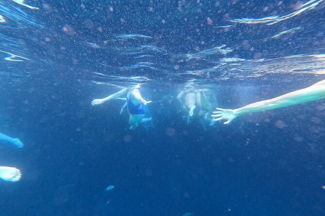 Private Blue Cave and Elaphiti Islands Half Day Tour - Meeting at Lapadska Obala and Getting Out to the Islands