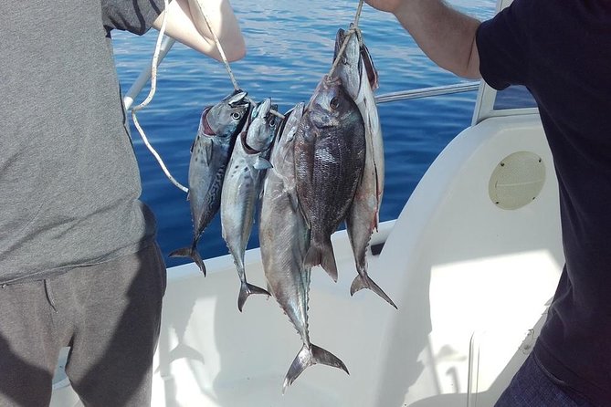 Private fishing tour - A Private Dubrovnik Fishing Boat, Run by Srđan