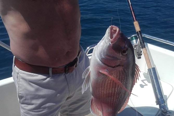 Private fishing tour - Gear and Bait Included: Less Shopping, More Fishing