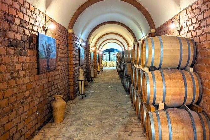 Private Full Day Peljesac Wine Tasting Tour from Dubrovnik - Private day-trip pacing: comfort, comparison, and not feeling rushed