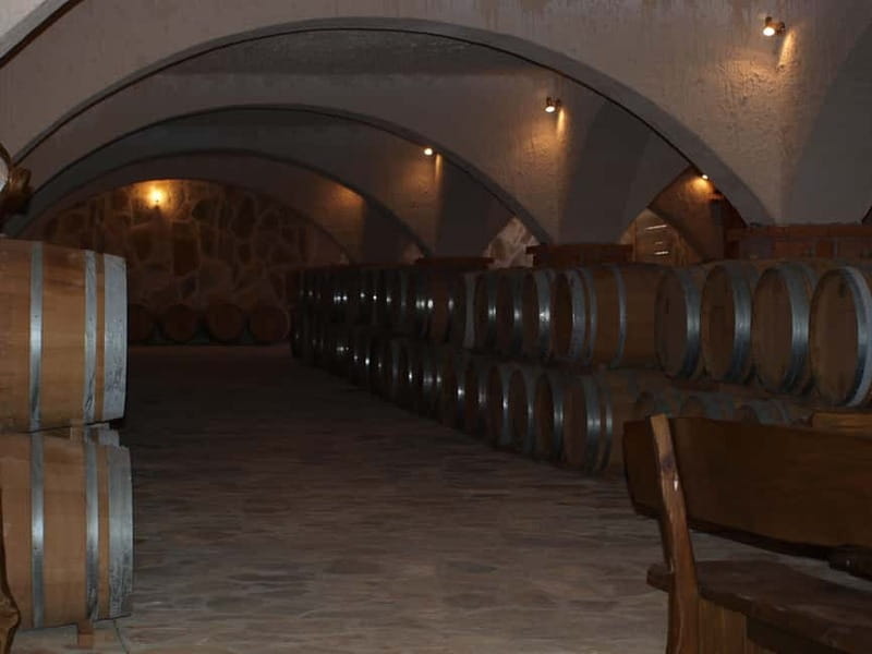 Private Full-Day Wine Tour from Dubrovnik to Peljesac - Winery Stop #1: Family Domains, Real Cellar Time, and a Human Welcome
