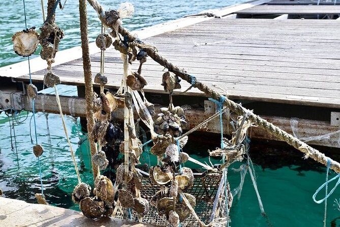 Private Korčula & Ston: Island Charms, Pelješac Delights & Wine - Mali Ston Oysters and the Optional Boat Around Oyster Farms