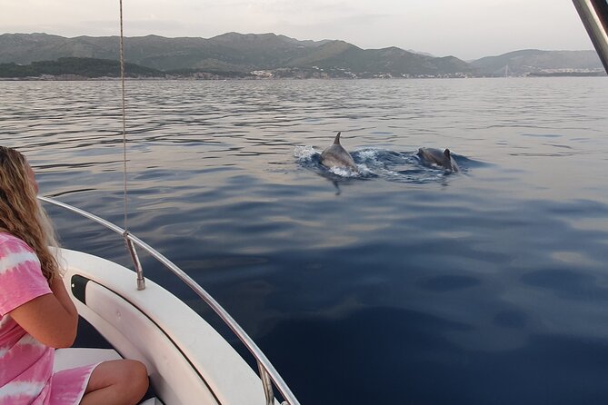 Private Local Guided Speedboat Tour in Dubrovnik Archipelago - On-board perks: WiFi, beer, wine, and talking with Grga