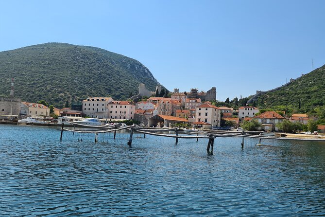 Private Oyster and Wine Tasting Day Trip along Peljesac - Timing, comfort, and what to pack for a 7-hour sea-and-wine day