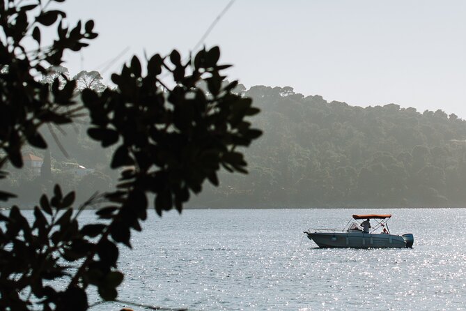 Private Speedboat Tour over Elaphiti Islands and Hidden Caves - The Timing: How 4 vs 8 Hours Changes the Experience