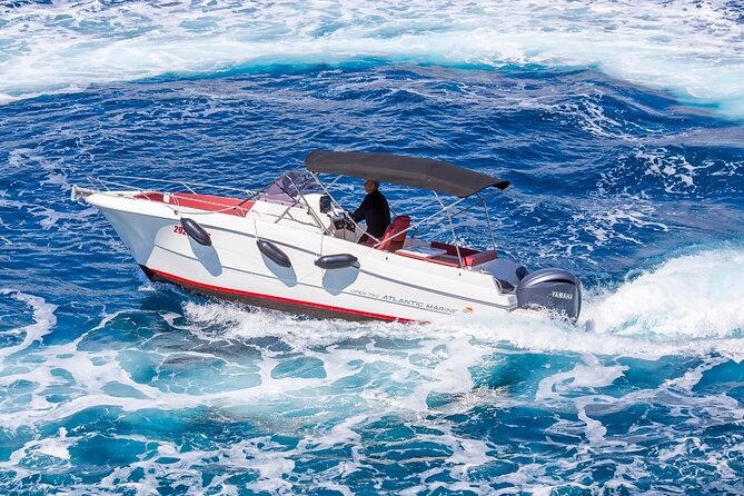 Private Speedboat Tour to Elafiti Islands - Your Ride on the Atlantic Marine 750: Built for Caves and Close-In Stops