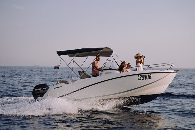 Private Sunset boat tour - Spotting Dolphins: A Small Bonus When Conditions Help