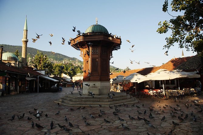 Private Tour: Sarajevo Day Trip from Dubrovnik - Price and Logistics: When You Should Expect Delays or Rushing