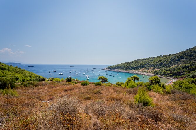 Rent a Boat! (Group Option - Half Day) - Drinks and Music: Make It a Party or Keep It Chill