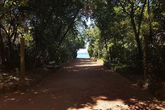 Rent a speed boat and explore beaches and coves of Elaphiti Islands - Šipan Island and Suđurađ Port: Olive Groves, Rector’s Palace, and Pirate-Protection Walls