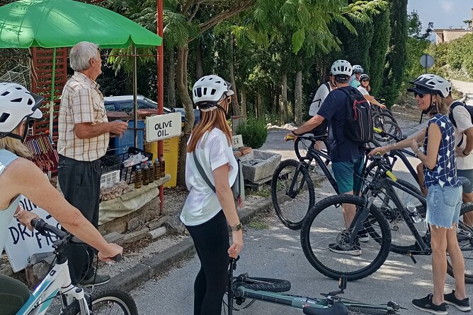 Rural Biking & Wine Tasting Tour in Dubrovnik - Bikes and the Route Feel: What You Should Expect