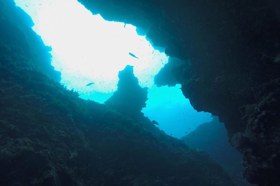Scuba Diving in Dubrovnik: 1 Dive for Certified Divers - Quick Takeaways
