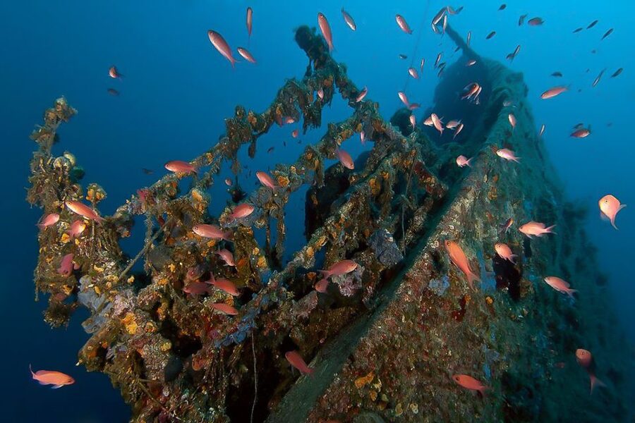 Scuba Diving in Dubrovnik: 1 Dive for Certified Divers - Dubrovnik’s Coast From the Water: What This 150-Minute Certified Session Really Gives You