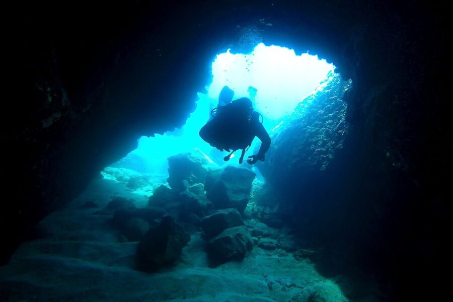 Scuba Diving in Dubrovnik: 1 Dive for Certified Divers - Underwater Highlights: Reefs, Caves, Caverns, and Shipwreck Encounters