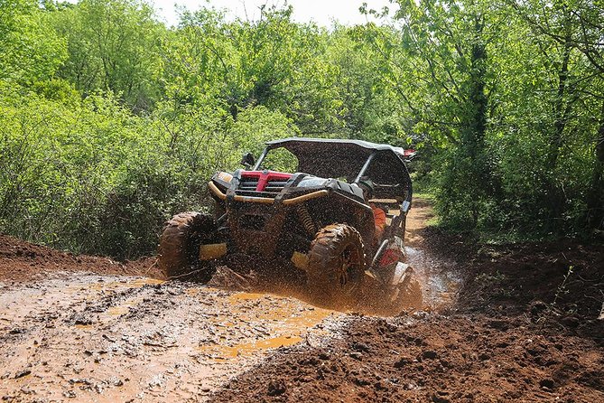 Self-drive Off Road Buggy - Key points at a glance