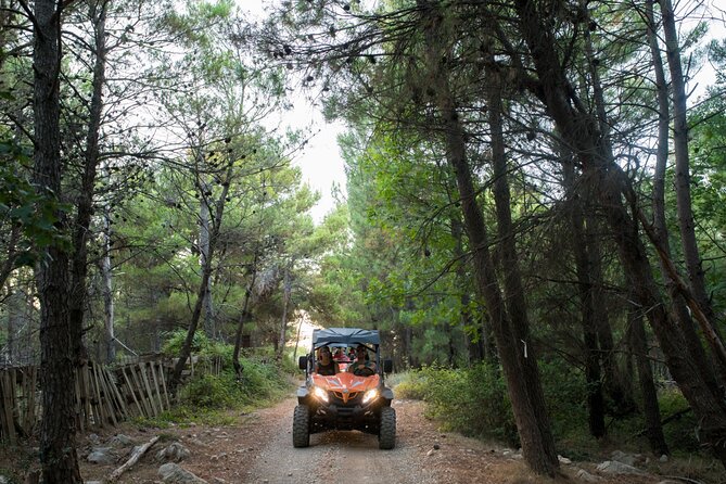 Self-drive Off Road Buggy - Price and value: Is $60.47 worth 30 minutes of driving?