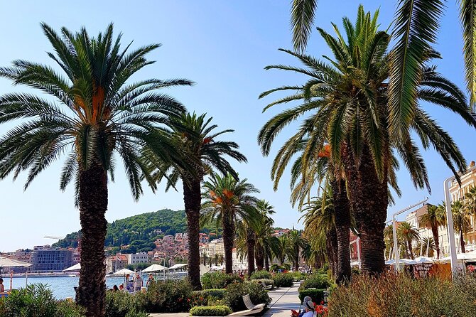 Split and Ston private tour or transfer - What you’ll actually do: a realistic rhythm for your day