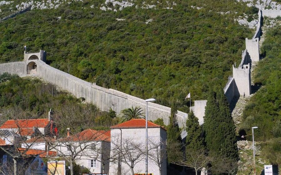 Ston and Korcula Island Day Trip from Dubrovnik with Wine - Small-but-important operational considerations before you book
