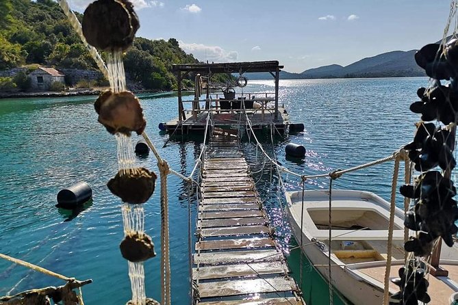 Ston Gastro Tour - Mali Ston oyster farms: fresh shucked oysters with wine