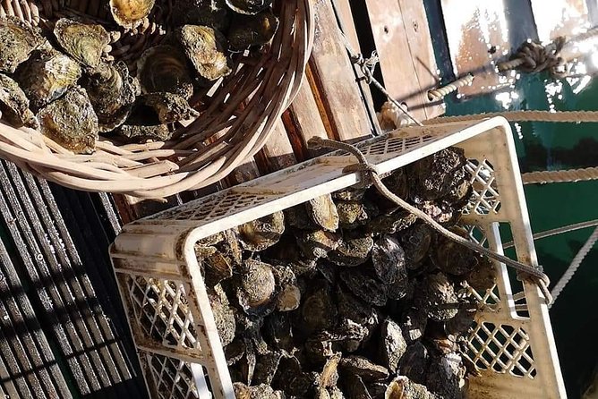 Ston Gastro Tour - Ston’s salt tradition and the city walls: how much time you’ll get