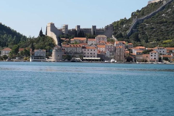 Ston Gastro Tour - Lunch at a local tavern: mussels and the black risotto moment