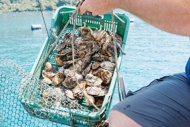 Ston Gastro Tour - Who this tour suits best (and who should think twice)