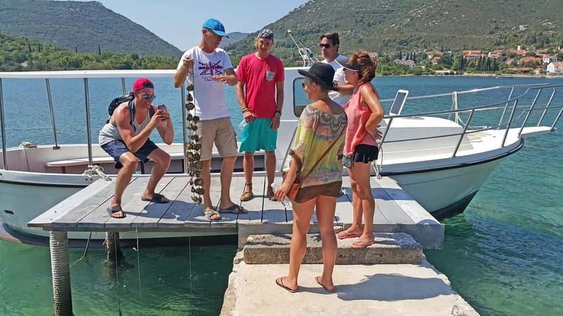 Ston Oyster & Wine Tasting Private Tour From Dubrovnik - Key highlights you’ll actually feel during the day