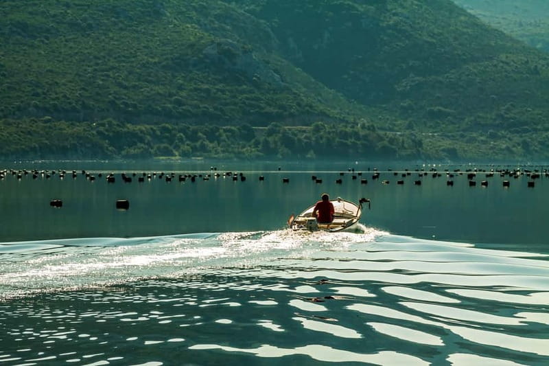 Ston Oyster & Wine Tasting Private Tour From Dubrovnik - Ston walking tour and salt pans: more than a quick stop