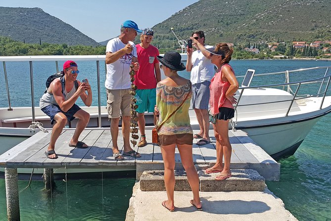 Ston Oysters & Wine Tasting Tour from Dubrovnik - Key highlights