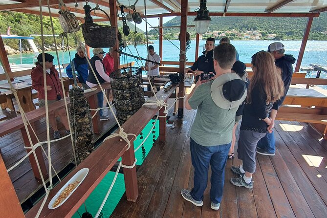 Ston Oysters & Wine Tasting Tour from Dubrovnik - Trsteno Arboretum and Spotting Game of Thrones Filming Locations