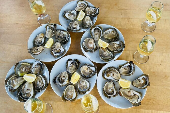 Ston Seafood & Pelješa Wine Boat Tour with Oysters and Mussels - Škurla Family Winery: Cellars, Local Wine Tastings, and a Real Maker Story