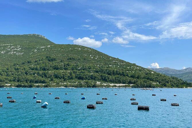 Ston Seafood & Pelješa Wine Boat Tour with Oysters and Mussels - Ston in 45 Minutes: City Walls and Salt Lakes, the Quick Hit