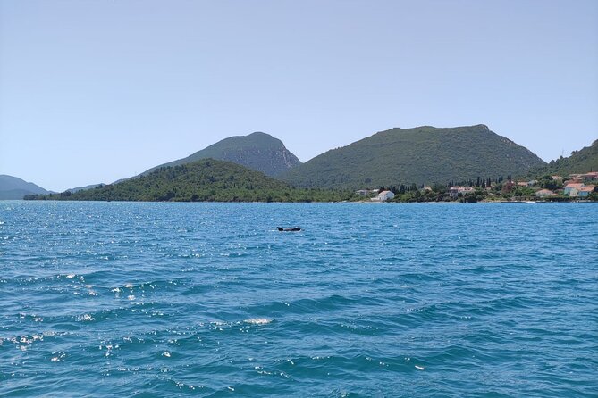 Ston Seafood & Pelješa Wine Boat Tour with Oysters and Mussels - Who This Tour Suits Best (and Who Should Rethink)
