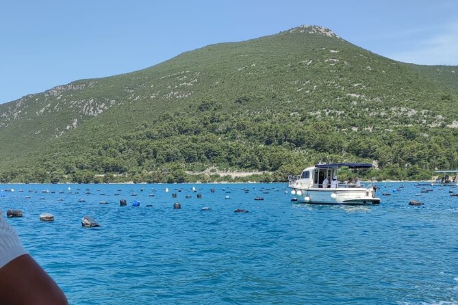 Ston Seafood & Pelješa Wine Boat Tour with Oysters and Mussels - Should You Book It?