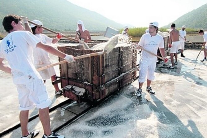 Ston Tour: City Walls, Saltworks, Wine & Adriatic Seafood - Seosko Domaćinstvo Ficović in Hodilje: Seafood in a Working Fishing Bay