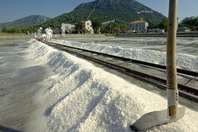 Ston Tour: City Walls, Saltworks, Wine & Adriatic Seafood - Price and Logistics: What You Pay for vs. What’s Included