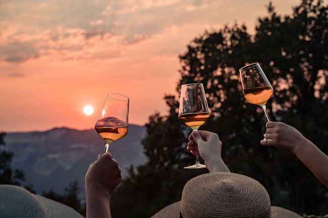 Sunset wine tasting in vineyard - Key Things You’ll Remember From This Dubrovnik Sunset Vineyard Tasting