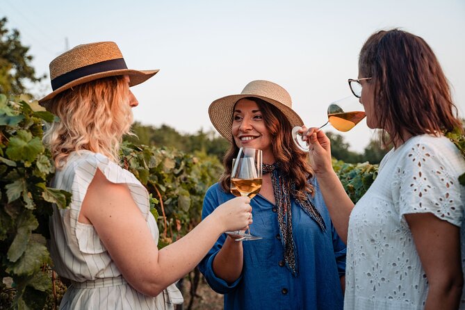 Sunset wine tasting in vineyard - Where Malaštica Hill Fits Into Your Dubrovnik Trip