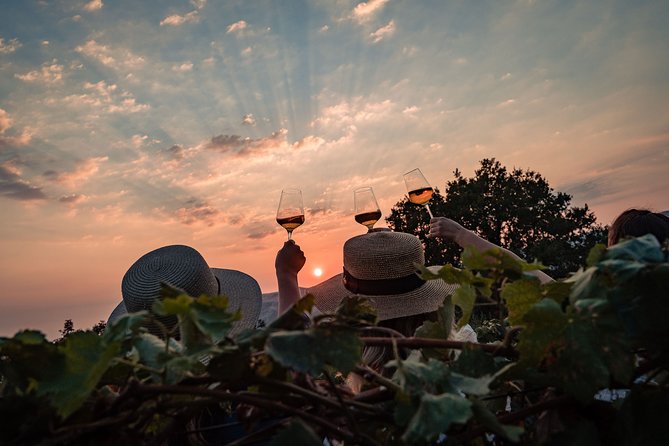 Sunset wine tasting in vineyard - The Family Hosts: Why Ivica and Domininka Change the Mood