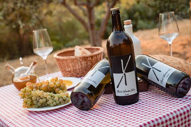 Sunset wine tasting in vineyard - Who This Dubrovnik Sunset Wine Tasting Is Best For