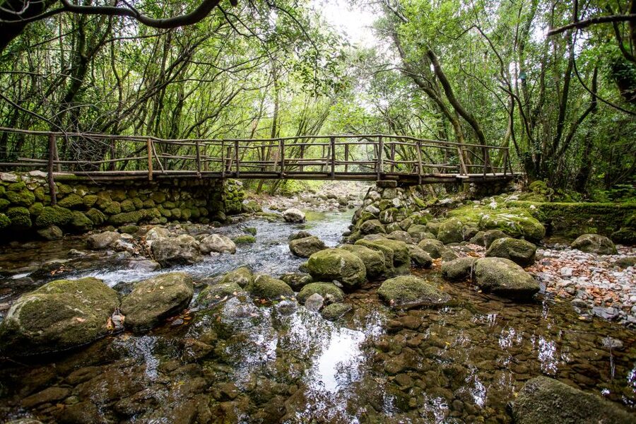 Taste & Tradition of Dubrovnik Countryside - Key things I’d circle before you book