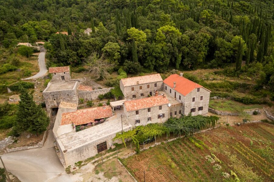Taste & Tradition of Dubrovnik Countryside - Winery Brajković: wine liqueur, white and red, plus vineyard views