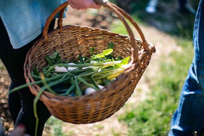 Traditional Cooking Class in Dubrovnik Countryside - Pricing: is $290.36 per person worth it?