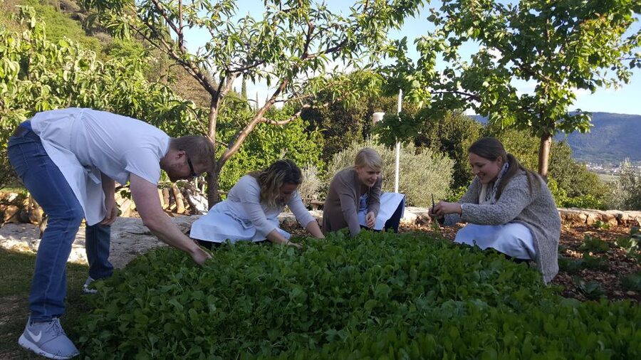 Traditional Dalmatian Cooking Class from Dubrovnik - Pickup, Welcome Drink, and Getting Set Up