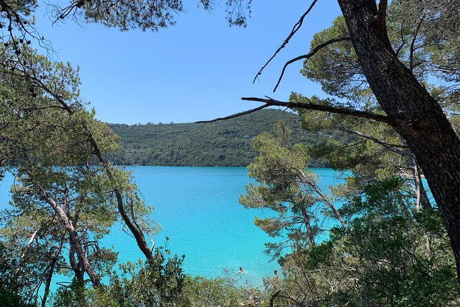 Visit magical Mljet Island with private speedboat - Mljet National Park time: what the shorter stop really means for you
