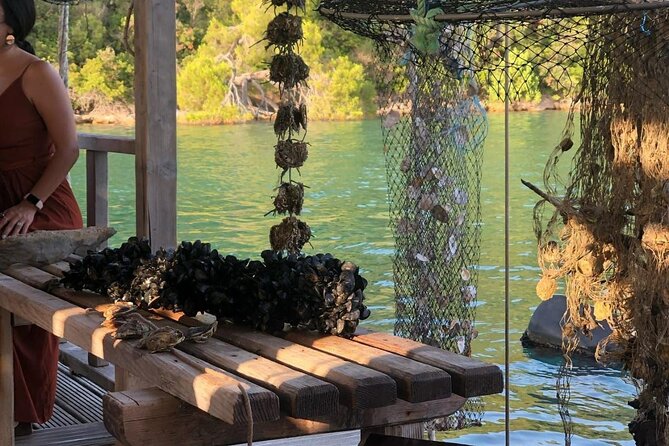 Wine and Food Daily Tour - Price and value: why $481.17 per group can work for couples or friends