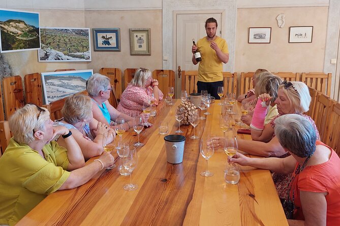 Wine tour Peljesac - Ston Salt Pans and the Walls of Ston in Just 30 Minutes