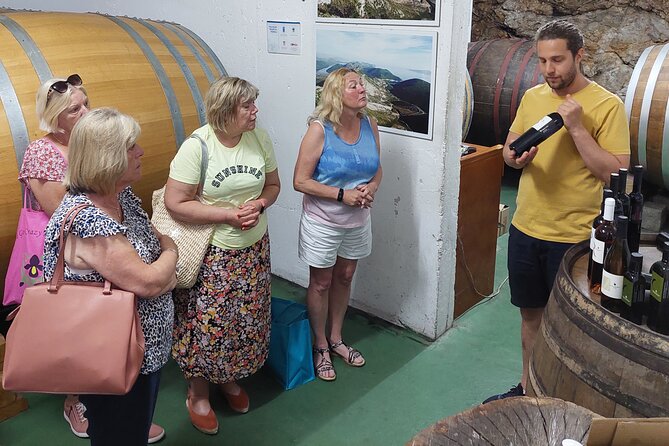 Wine tour Peljesac - Price and Value: Is $270.36 Worth It?