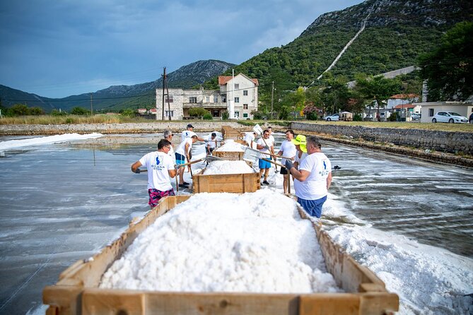 Wine tour peninsula Pelješac - Ston Old Town: free time to match your pace